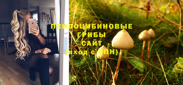 дурь Алексеевка