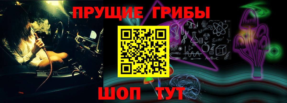 Галлюциногенные грибы прущие грибы  сколько стоит  Тулун  Галлюциногенные грибы Psilocybe  Вход с VPN 
